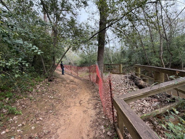 Trail conditions showing root systems