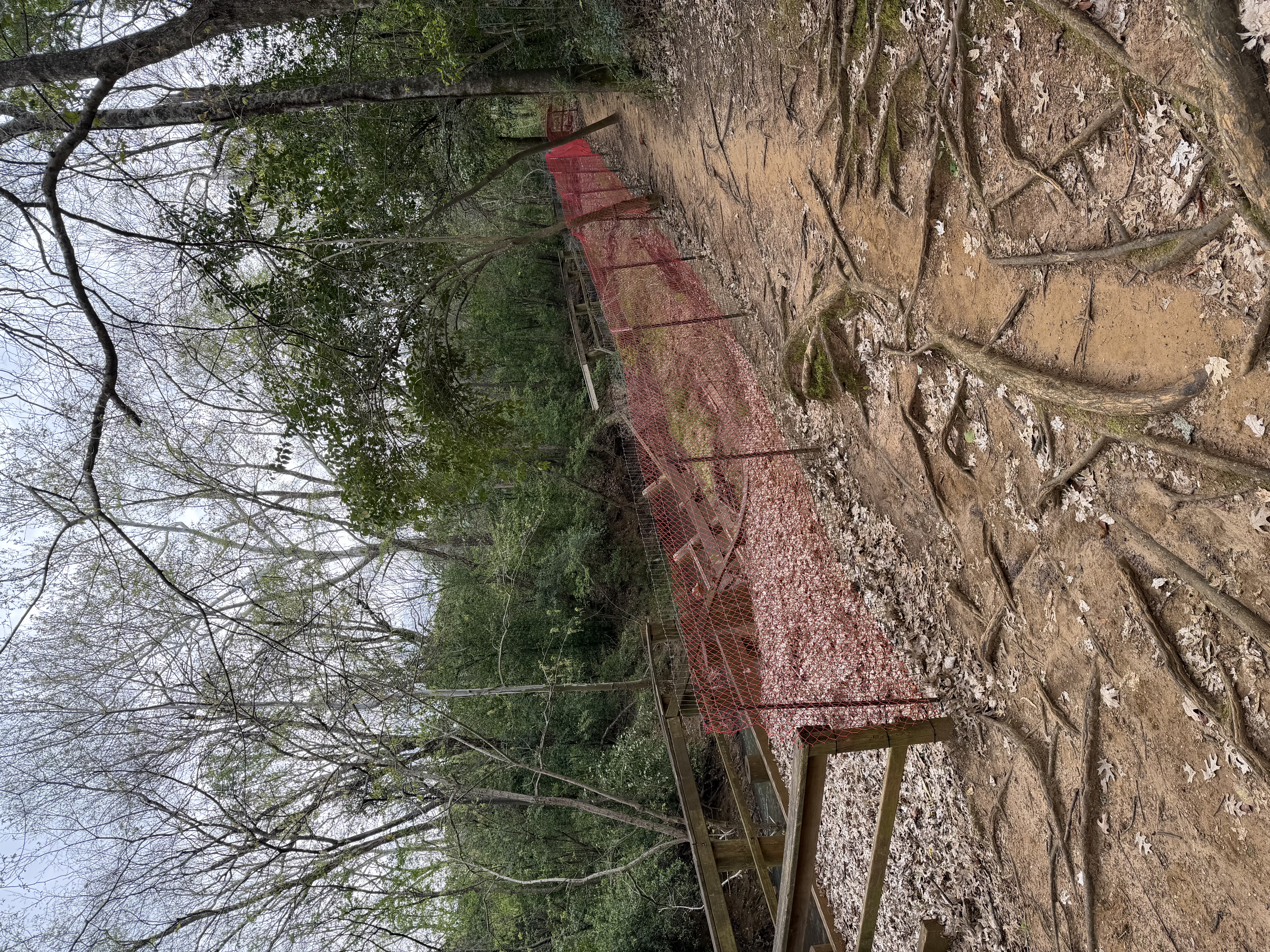 Existing temporary fence